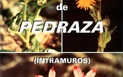 Cien plantas de Pedraza