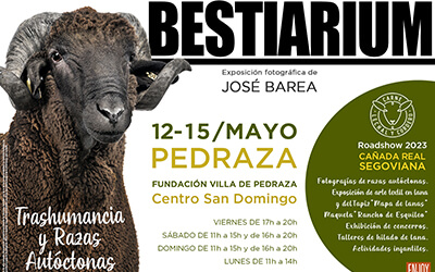 BESTIARIUM, la exposición trashumante de José Barea, llega en mayo a Pedraza