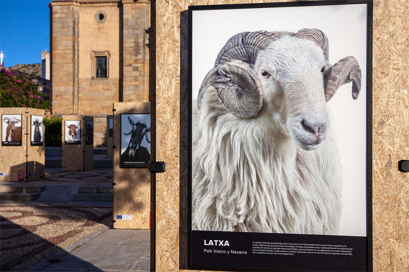 Bestiarium Pedraza Bestiarium Pedraza